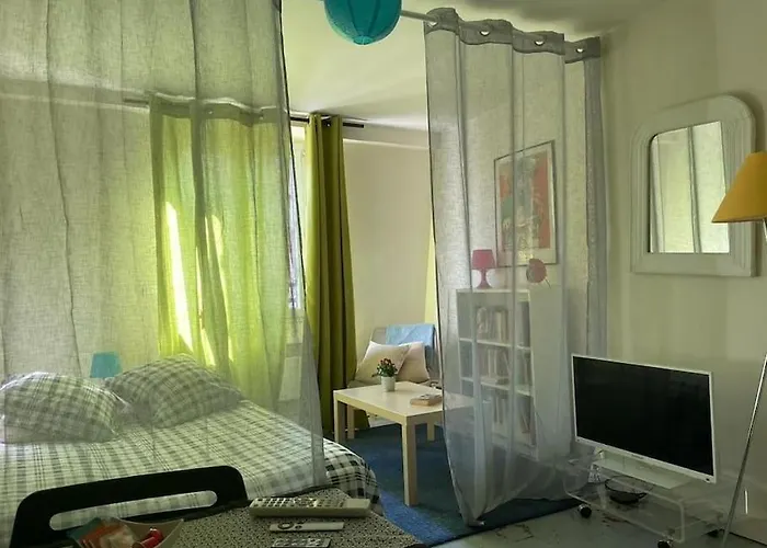 Joli Boheme Sous Les Toits De Paris