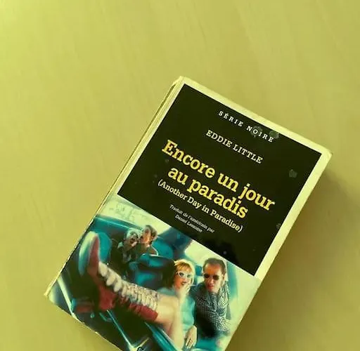 Joli Boheme Sous Les Toits De *