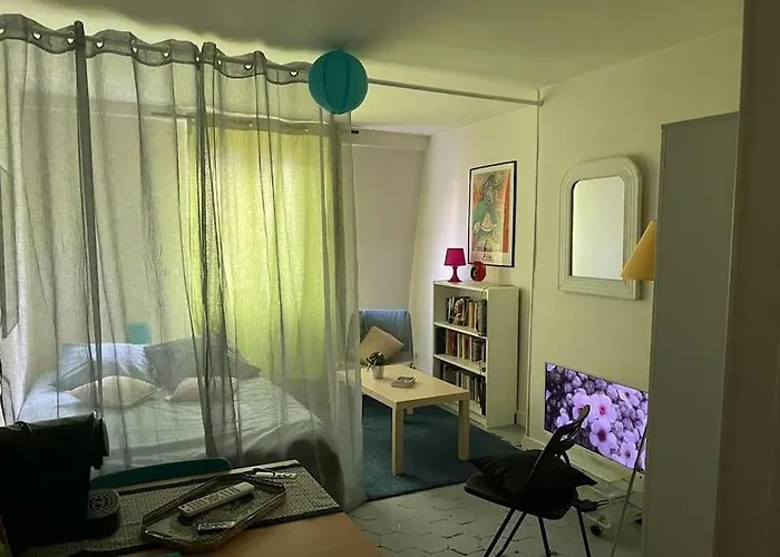 Joli Boheme Sous Les Toits De Paris