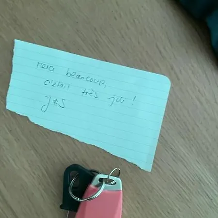 Joli Boheme Sous Les Toits De דירה פריז