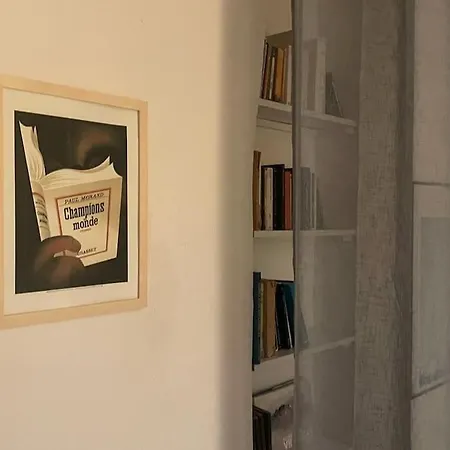 Joli Boheme Sous Les Toits De פריז
