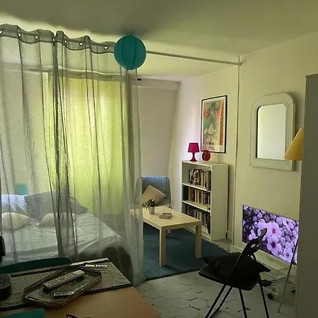Joli Boheme Sous Les Toits De פריז